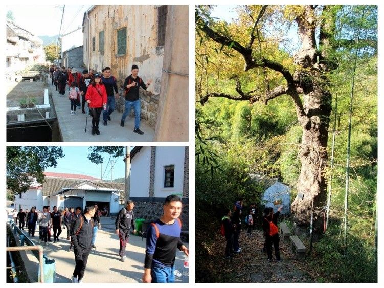 1577174011179688lLwe.jpg 1577174011179688lLwe.jpg