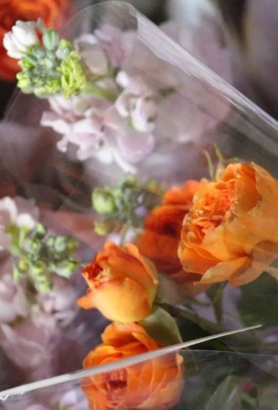 1678333331854898mJy9.jpg 12.jpg