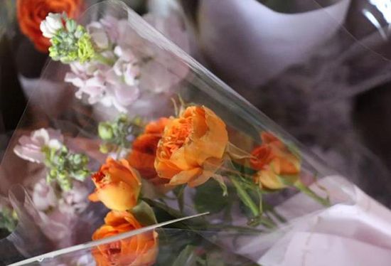 1678333493854076IaCc.jpg 20.jpg